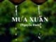 van-ban-mua-xuan-2-nguyen-binh