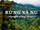 ve-dep-su-thi-cua-hinh-tuong-nguoi-cach-mang-tay-nguyen-trong-truyen-ngan-rung-xa-nu-cua-nguyen-trung-thanh