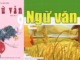 viet-bai-tap-lam-van-so-2-sgk-ngu-van-9-tap-1