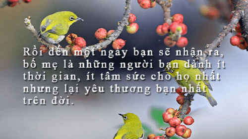 viet-doan-van-ngan-tu-6-8-cau-suy-nghia-ve-cong-on-cua-cha-me-co-su-dung-mot-cau-cau-khien