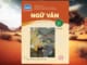 viet-van-ban-nghi-luan-ve-mot-van-de-xa-hoi-trong-tac-pham-van-hoc-bai-6-ngu-van-11-tap-2-chan-troi-sang-tao