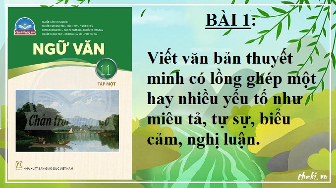 viet-van-ban-thuyet-minh-co-long-ghep-mot-hay-nhieu-yeu-to-nhu-mieu-ta-tu-su-bieu-cam-nghi-luan-bai-1-ngu-van-11-tap-1-chan-troi-sang-tao