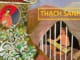 y-nghia-truyen-co-tich-thach-sanh
